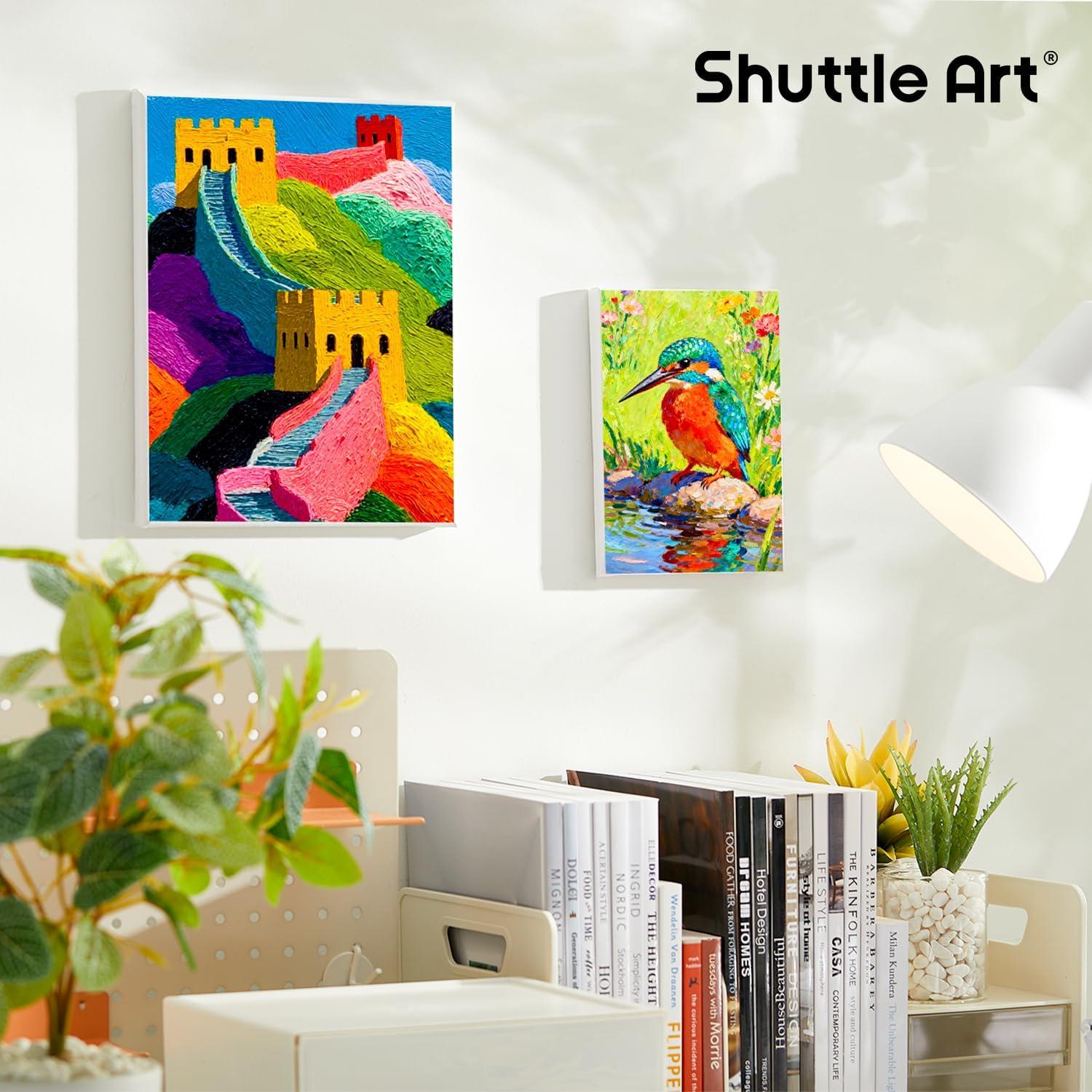 imageShuttle Art Stretched Canvas and Acrylic Paint Bundle Art Painting Supplies Set for 18 Colors Acrylic Paint Bottles 240ml812oz amp 20 Pack Painting Canvas 5x7 8x10